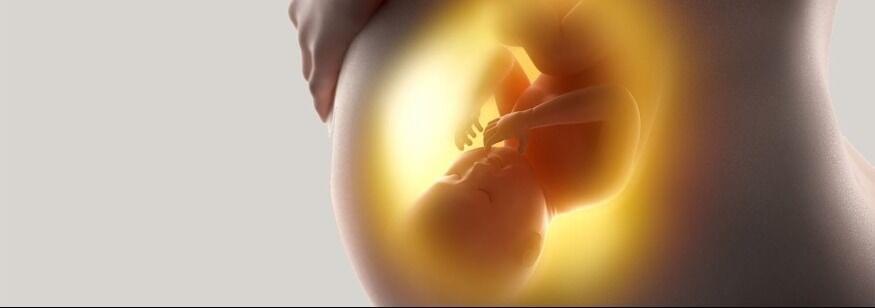 representacion de un embarazo